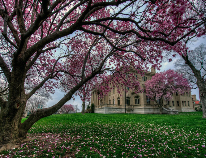 Kansas City Museum – The Derby Party