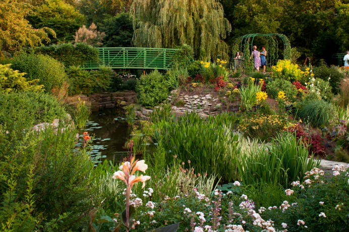 Stems: A Garden Soirée